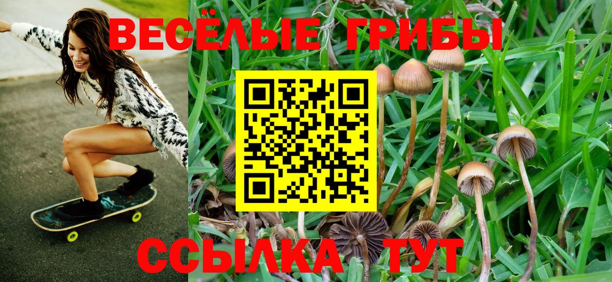 Нефтекамск  Галлюциногенные грибы Psilocybe  Галлюциногенные грибы мицелий  Вход с VPN 